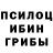 Галлюциногенные грибы Psilocybe Fr Bilder