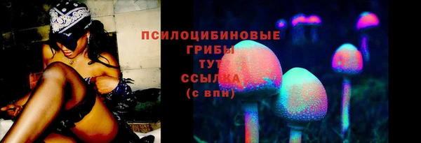 spice Алексин