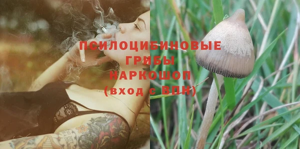 spice Алексин